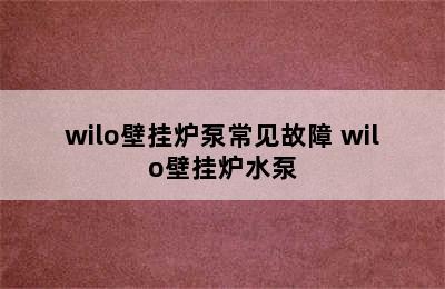 wilo壁挂炉泵常见故障 wilo壁挂炉水泵